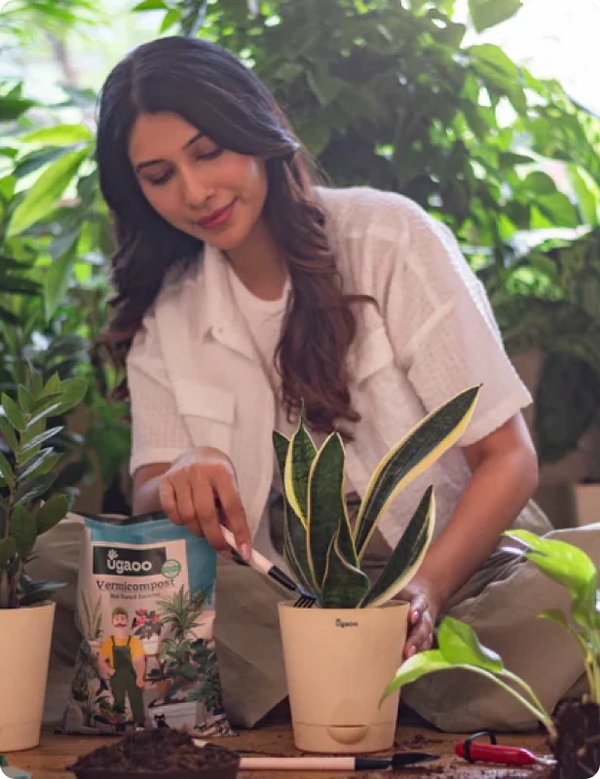 Happy planter