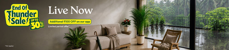 Offer banner