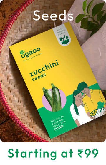 Collection-list-image