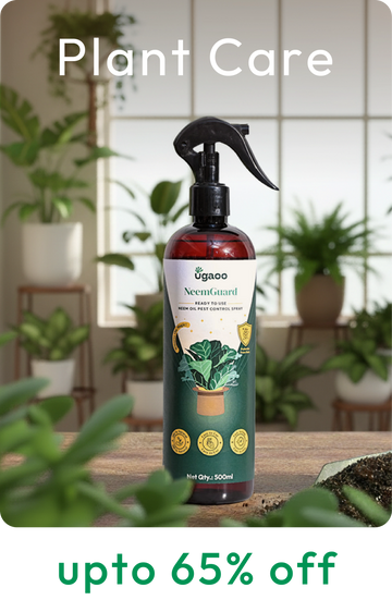 Collection-list-image