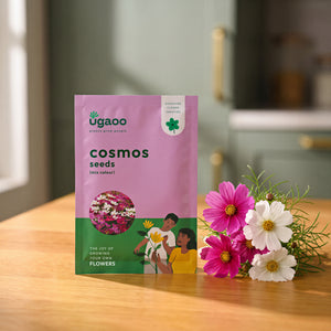 Cosmos Mix Seeds