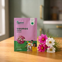 Cosmos Mix Seeds