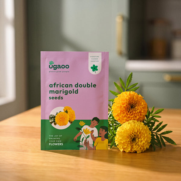 NUFSO057,NUFSO058
