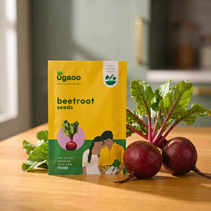 Beetroot Seeds