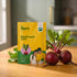 NUVSO026,NUVSO027,NUVSO028,NUVSO029