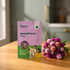 Gomphrena Seeds