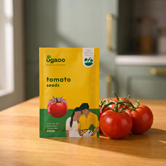Tomato Seeds