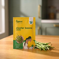 Cluster Beans Seeds