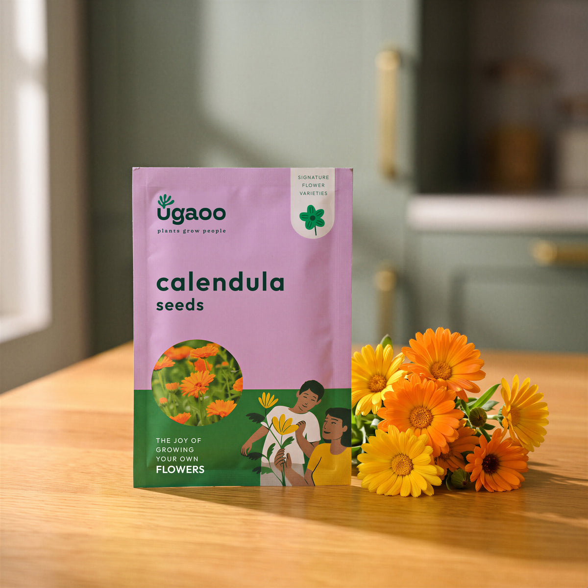 NUFSO013,NUFSO014