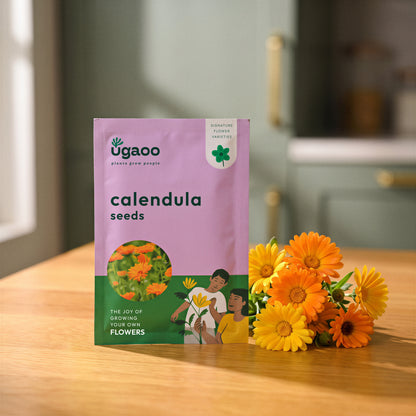 NUFSO013,NUFSO014