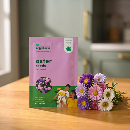 NUFSO009,NUFSO010