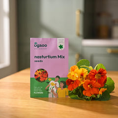 Nasturtium Mix Seeds