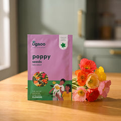 Poppy Mix Seeds