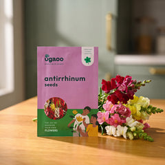 Antirrhinum Seeds