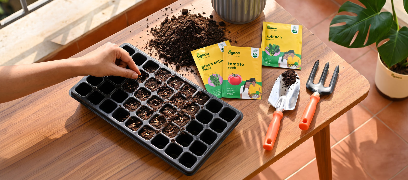 Grow it. From a seed