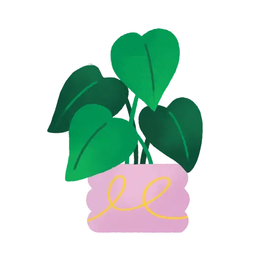 Plants