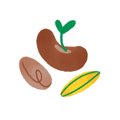 Seeds
