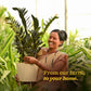 ZZ Black Plant - XL