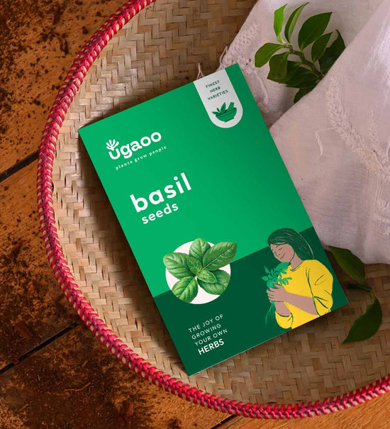 Italian Basil Seeds