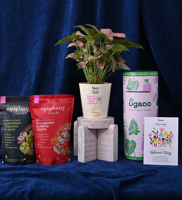 Syngonium Pink Plant For Women's Day