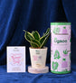 Set of Two Plants For Women&