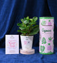 Set of Two Plants For Women&
