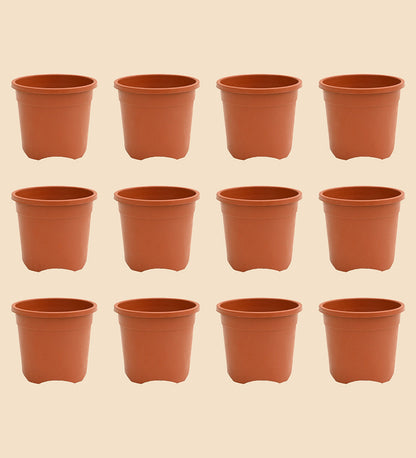6-inch_set-of-12