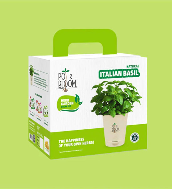Italian Basil Grow Kit