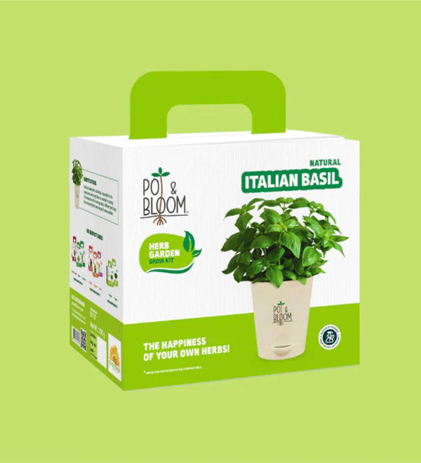 Italian Basil Grow Kit