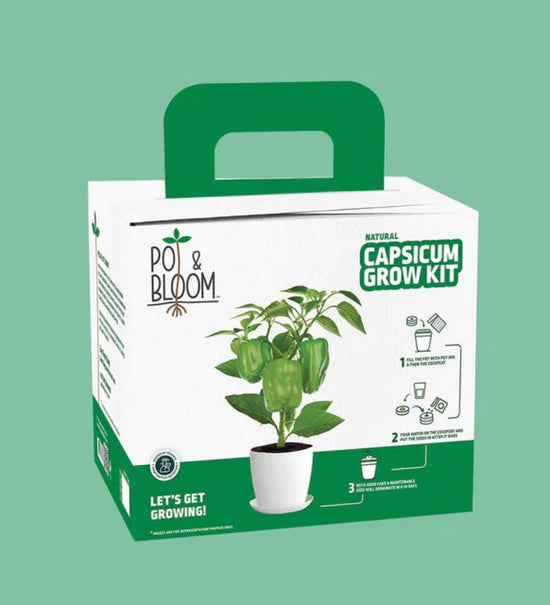 Capscium Grow Kit