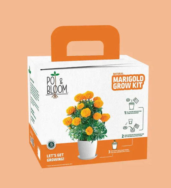 Marigold Grow Kit