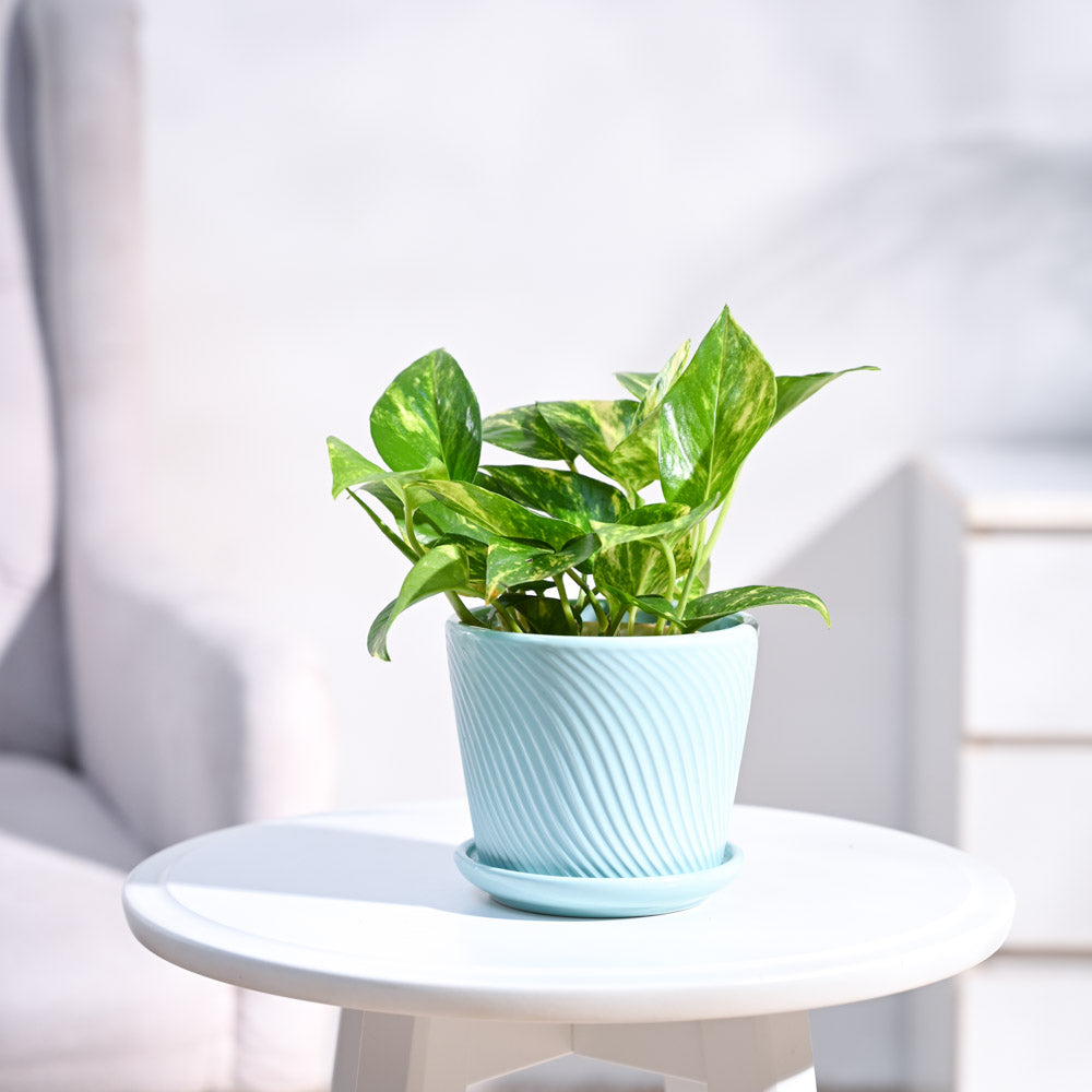 ceramic-pot_cadet-blue