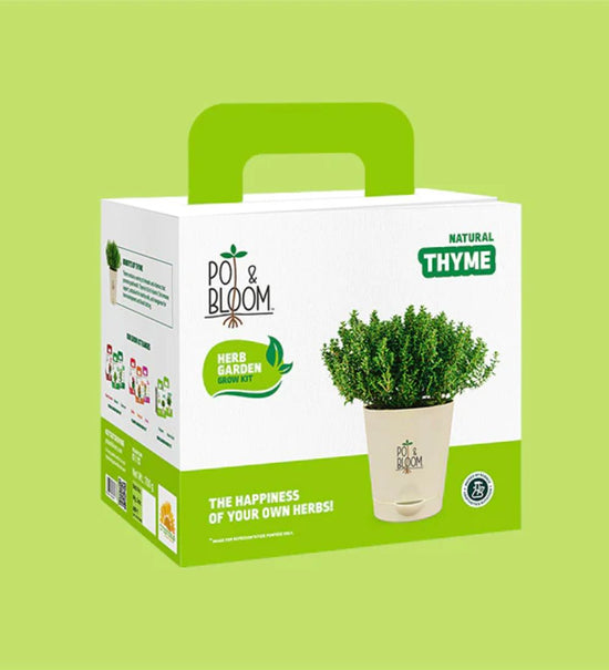 Thyme Grow Kit