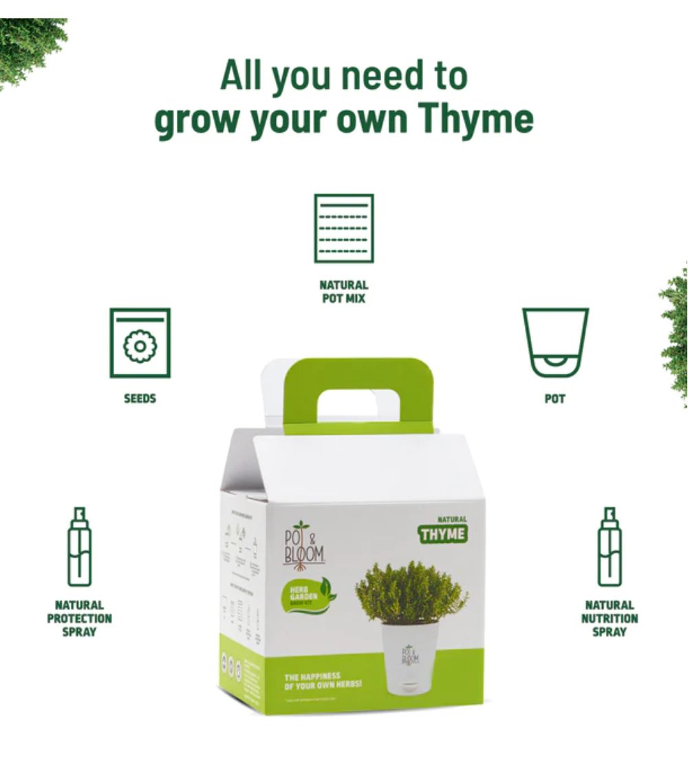 Thyme Grow Kit