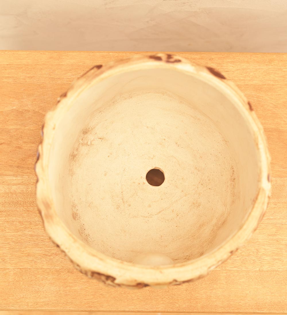 Tree Trunk Ceramic Planter