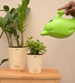 Dolphin Shape Watering Can 1.5 Litre