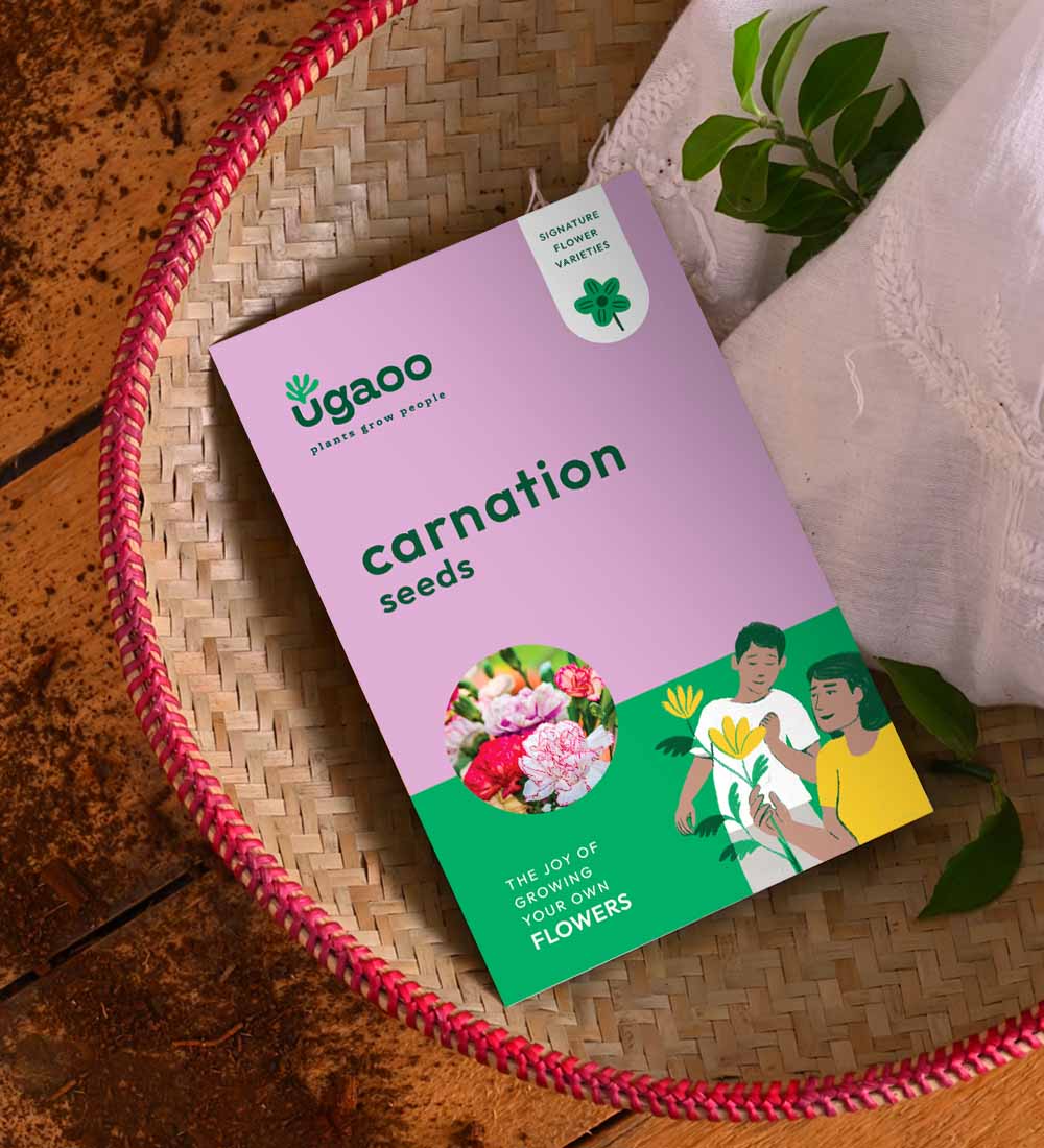 carnation flower seeds Buy Carnation Seeds Online