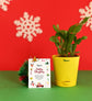 Christmas Joy with Plant & Crisps