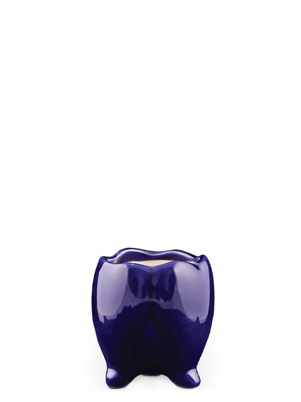 Tusker Ceramic Pot (4 Inch Diameter)