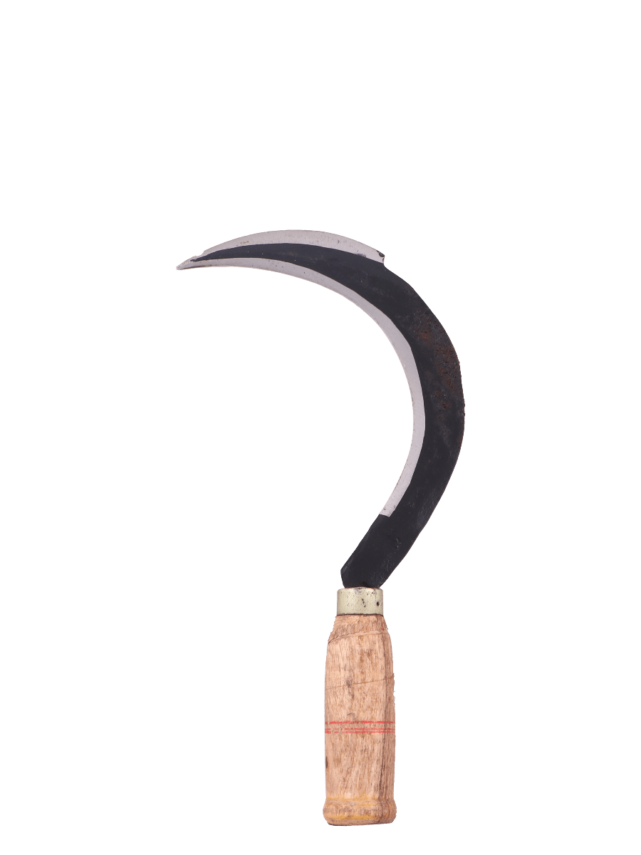 Images Of Sickle