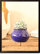 Handi Ceramic Pot (4 Inch Diameter)