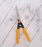 Hedge Shear with Plastic Handle - 10 Inch