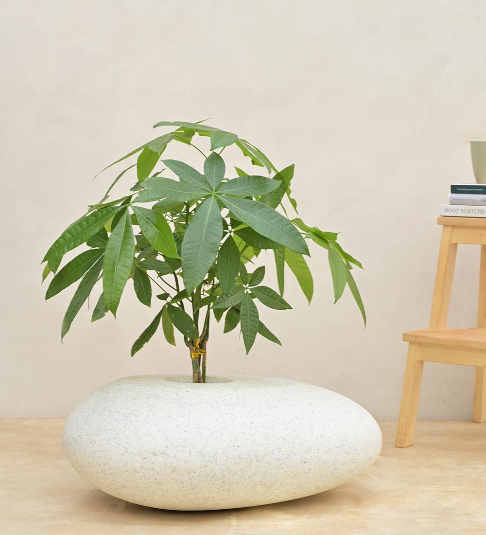 large pebbles for plant pots Pebble Shaped Planter
