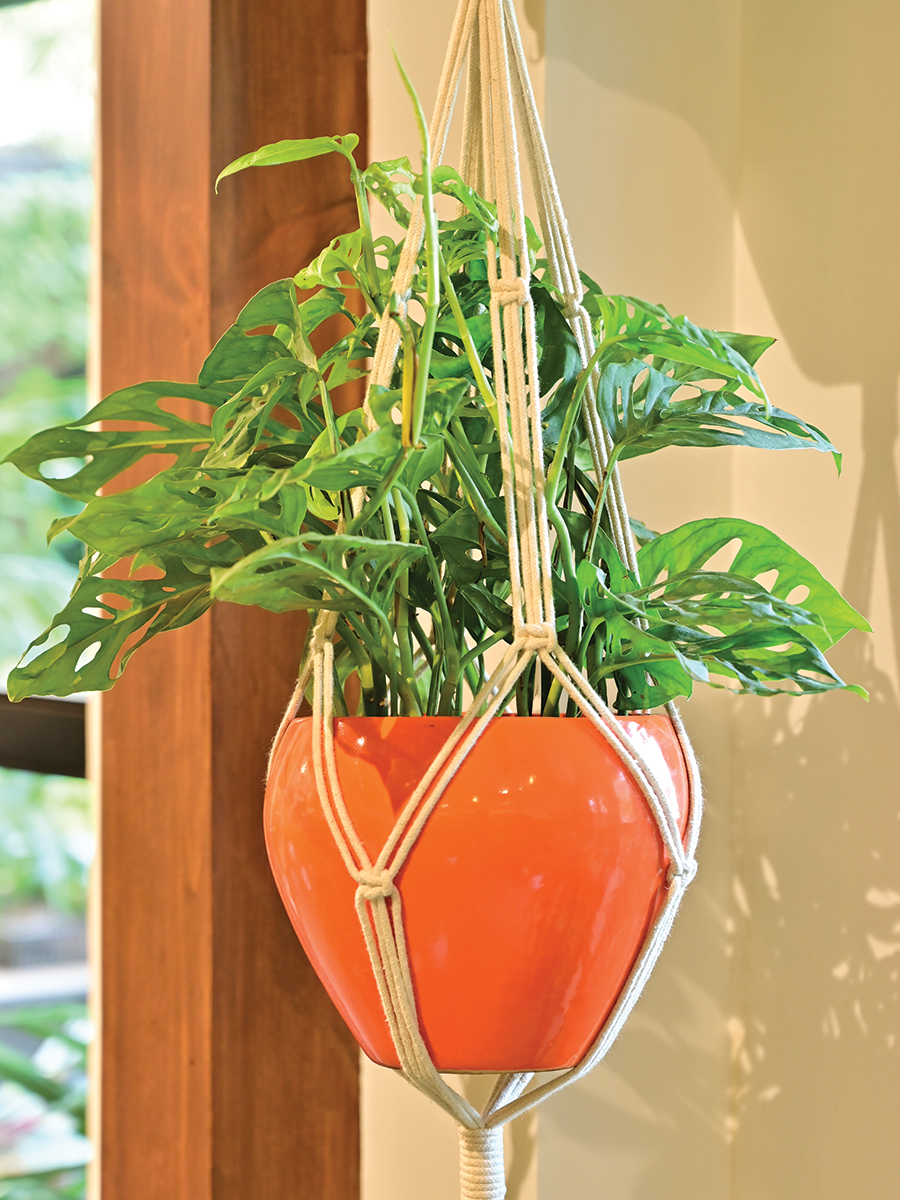 macrame plant hanger 3 tier Macrame Three Layer Hanger – Ugaoo