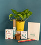 Money Plant with Plantable Stationary Bag