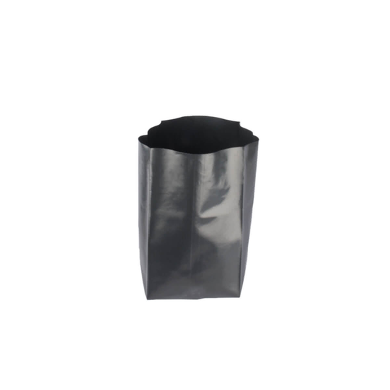 Nursery plant poly bag (Pack of 50 Bags) - 8 in x 10 in (DIA x H)