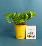 Plant with Cork Notebook, Pen & Bamboo Vacuum Flask