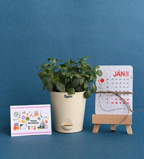 Plant with Plantable Calendar