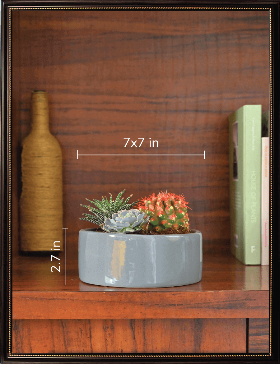 Lilac Stories Bundle - Grey