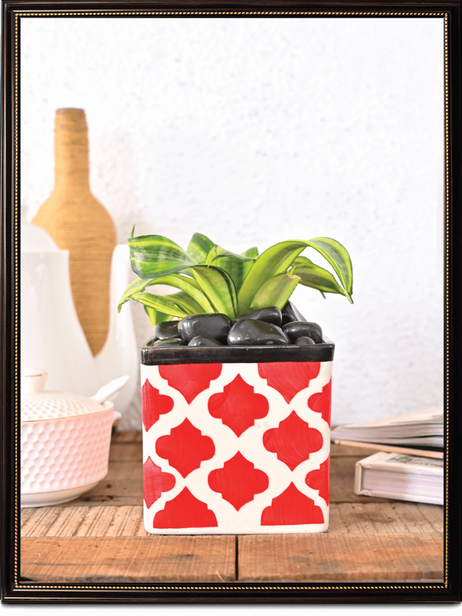 Square Rose Ceramic Pot (4.5 Inch Width)